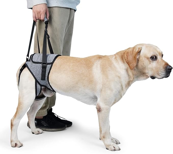 Dog Lift Harness, TORJOY Dog Sling for Small Medium Large Dogs, Dog Support Harness for Back Legs, Adjustable Soft Padded ...