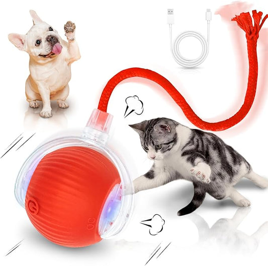 MAXTOOA Interactive Cat Toys for Indoor Cats Smart Automatic Ball Rolling for Bored Kitten Pet Upgraded Speedy Moving Chas...