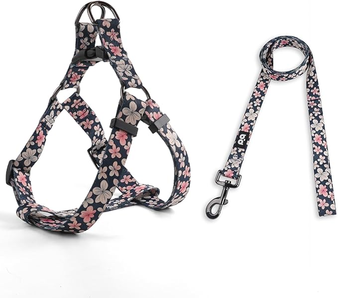 QQPETS Dog Harness Leash Set Adjustable Heavy Duty No Pull Halter Harnesses for Small Medium Large Breed Dogs Back Clip An...