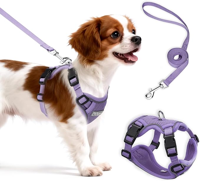 Ychpaw Small Dog Harness and Leash Set, Reflective Soft Breathable Mesh Vest, 3 Buckles, Adjustable Neck and Chest,Step in...