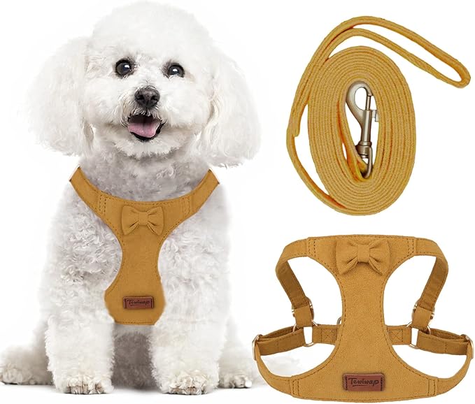 Tewiwap No Pull Small Dog Harness and Leash Set, Adjustable Puppy Harness for Extra Small XS XXS Girl Dogs, Soft Suede No ...