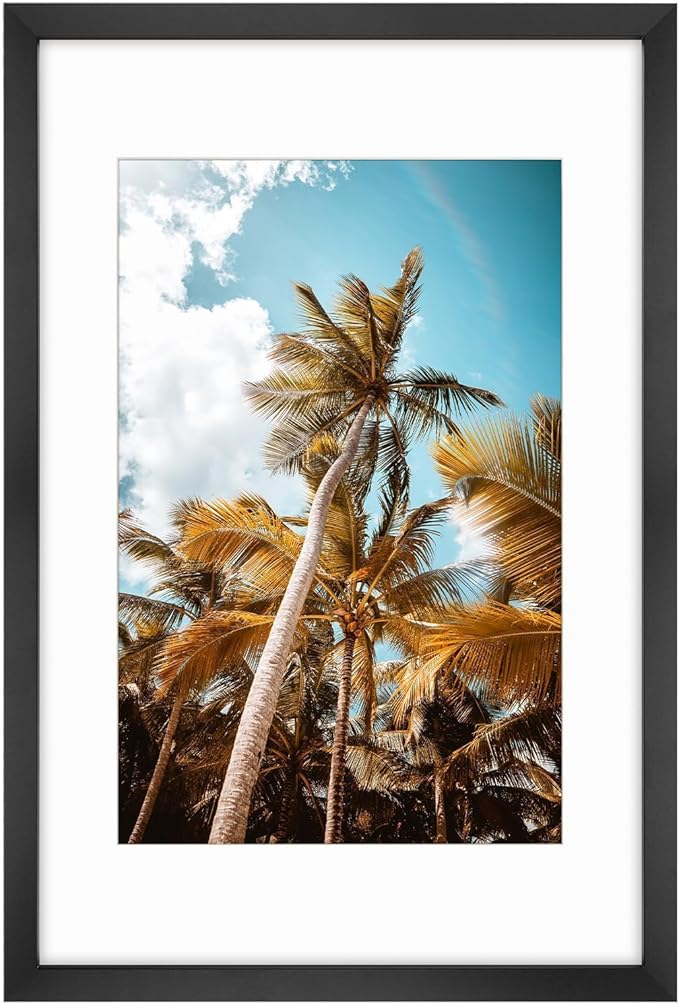 Frametory, 16x24 Picture Frame with Mat for 12x18 Picture - High Definition Glass Wide Molding - Preinstalled Wall Mountin...