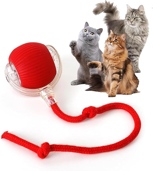 Rocfish Durable Interactive Cat Toys for Indoor Cats, Smart Automatic Cat Chase Ball Toy, Upgraded Speedy Tail Kitten Toy ...