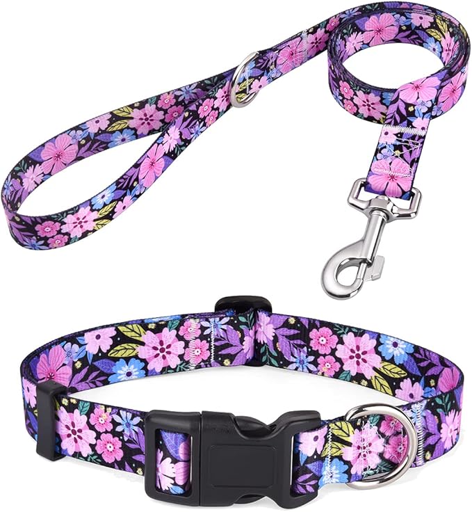 Mihqy Dog Collar and Leash Set with Bohemia Floral Tribal Geometric Patterns - Soft Ethnic Style Collar Adjustable for Sma...