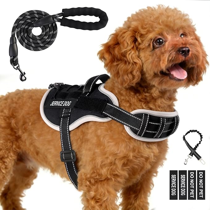 Service Dog Vest, No Pull Dog Harness Small Medium Sized Dog, Service Dog Harnesses and Leash Set, Reflective Easy Walk Do...
