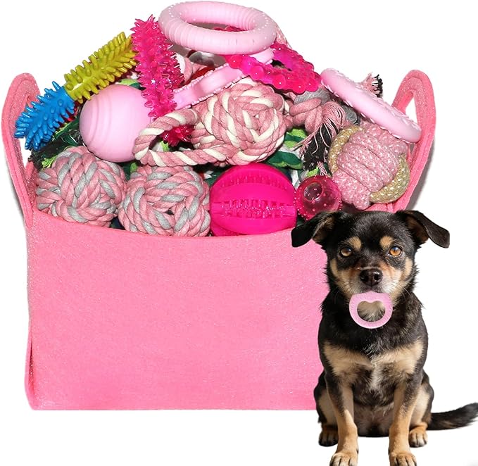 PawsAion Puppy Toys Set - 20 Pack Pink Dog Chew Toys for Teething Small Breeds - Tough Rope Toys for Puppies, Cute Soft Ru...