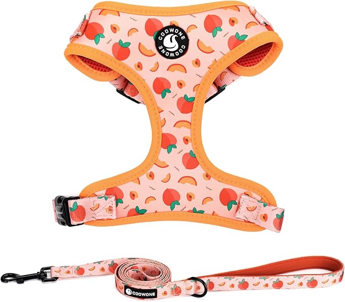Dog Harness and Leash Set, Adjustable Dog Harness, Dog Leash, No Pull No Choke Puppy Harnesses for Walking Training for Sm...