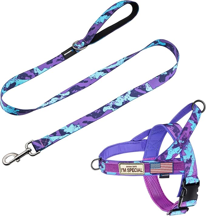 Annchwool No Pull Dog Harness with Padded Handle+5 Ft Leash,Escape Proof and Quick Fit to Adjust Dog Harness,Easy for Trai...