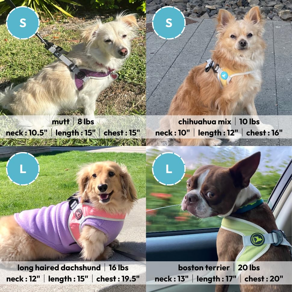 Gooby Simple Step in III Harness - Blue, Small - Small Dog Harness with Scratch Resistant Outer Vest - Soft Inner Mesh Har...