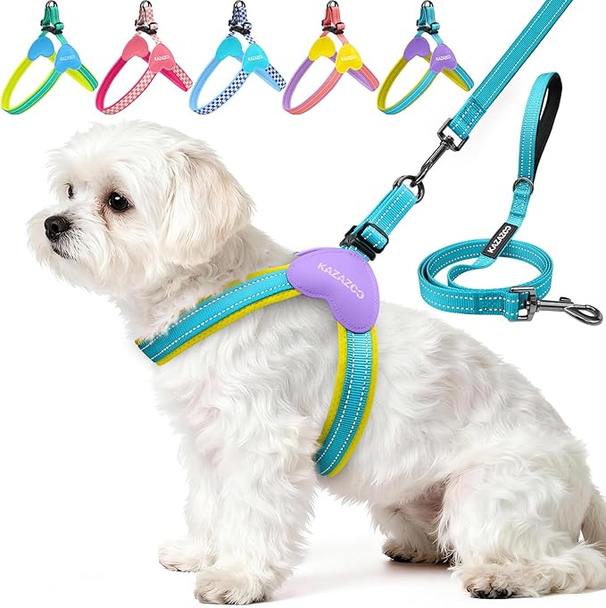Kazazoo No Pull Small Dog Harness and Leash Set, Adjustable Puppy Soft Vest Harness with Breathable Mesh Padded, Reflectiv...