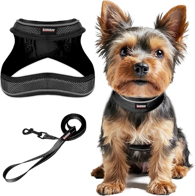 Dog Harness and Leash Set,Step in Small Sized Dog Harness,Soft Mesh,No-Chock,Reflective Adjustable,Secure with Hook & Loop...