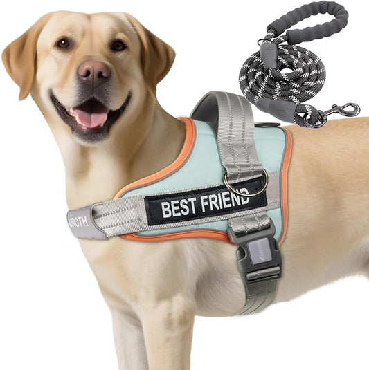 AUROTH Dog Harness and Leash Set, Soft Padded Service Dog Vest with 5.25FT Dog Leash, No Choke, Easy On Pet Vest, Adjustab...
