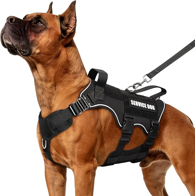 MOOGROU Tactical Service Dog Vest and Leash Set,Heavy Duty Harness with Metal Buckles for Large Dogs,Adjustable No Pull Pe...