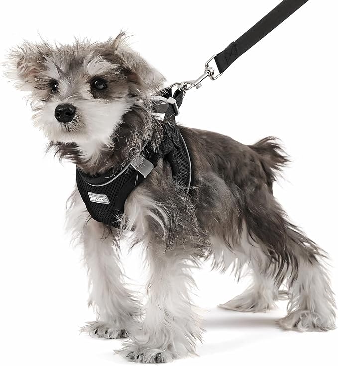 Bolux Dog Harness Small Sized and Leash Set, Step in Soft Light Puppy Vest, Breathable Mesh Pet Harness, Reflective for Sa...