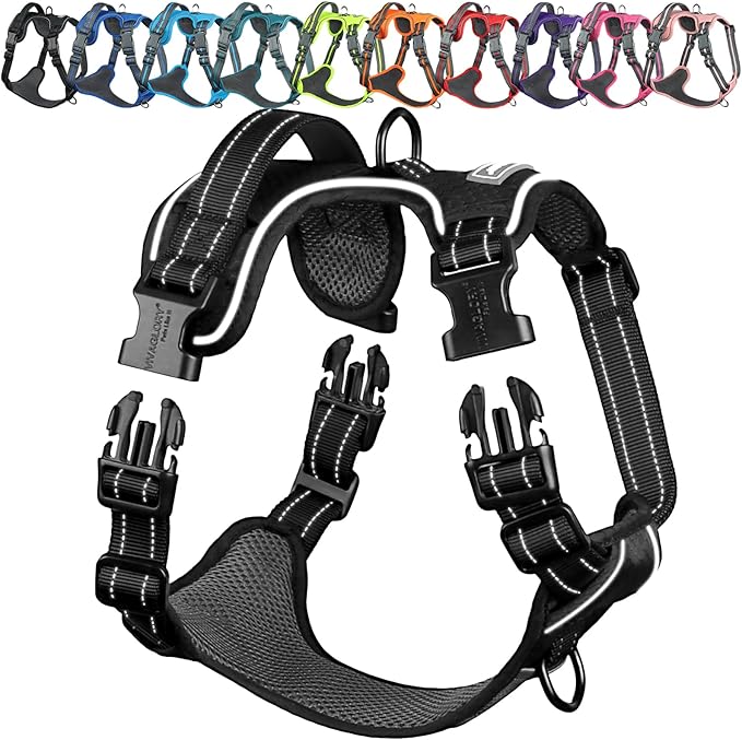 VIVAGLORY Dog Harness Easewalk No Pull Dog Harness with Handle Front Clip & Back Clip for Training Walking Lifting, No Pul...