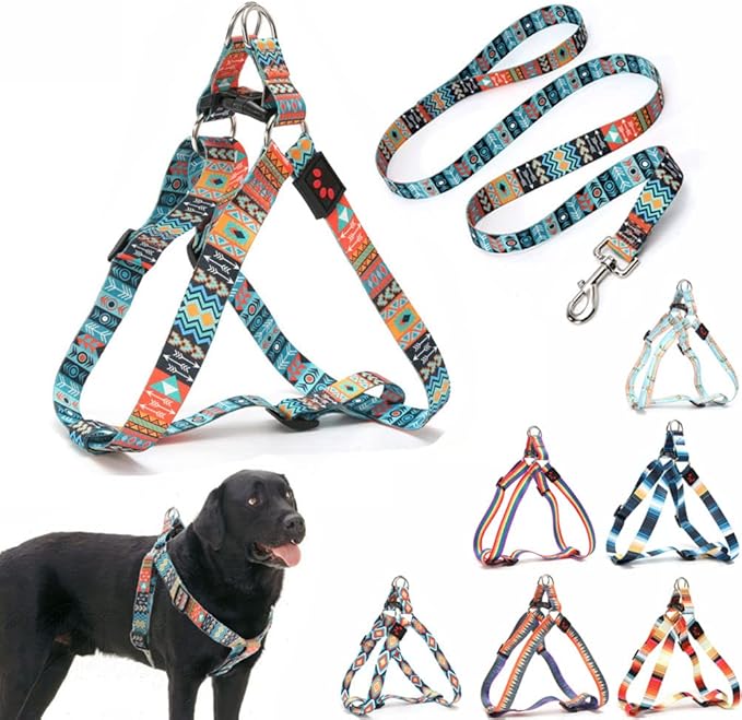 Dog Harness and Leash Set, Pretty Pattern No-Pull Pet Halter Puppy Vest Outdoor Easy Walk for Small Medium Large Breed Pug...