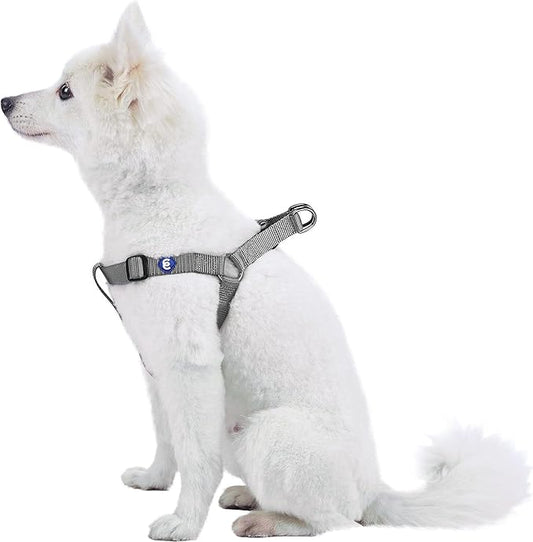 Blueberry Pet Essentials Step-in Dog Harness, Small Size | Adjustable Flint Gray Vest | Classic Solid Nylon for Boy & Girl...