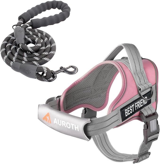 AUROTH Dog Harness and Leash Set, Soft Padded Service Dog Vest with 5.25FT Dog Leash, No Choke, Easy On Pet Vest, Adjustab...