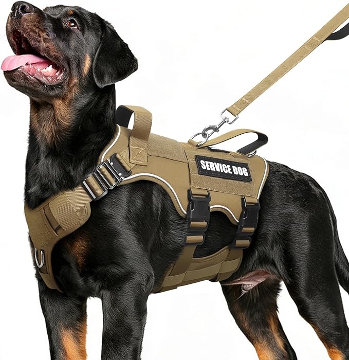 MOOGROU Service Dog Vest and Leash Set,Heavy Duty Tactical Dog Harness with Metal Buckles for Medium Sized Dogs,Adjustable...