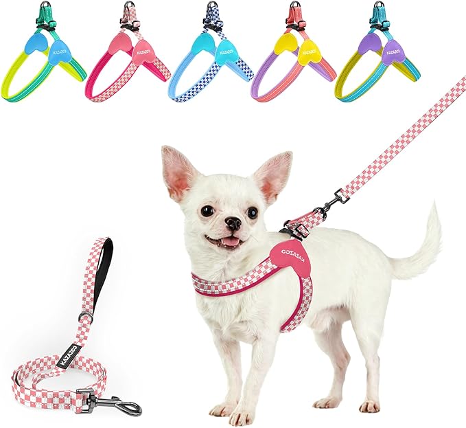 Kazazoo No Pull Small Dog Harness and Leash Set, Adjustable Puppy Soft Vest Harness with Breathable Mesh Padded, Reflectiv...