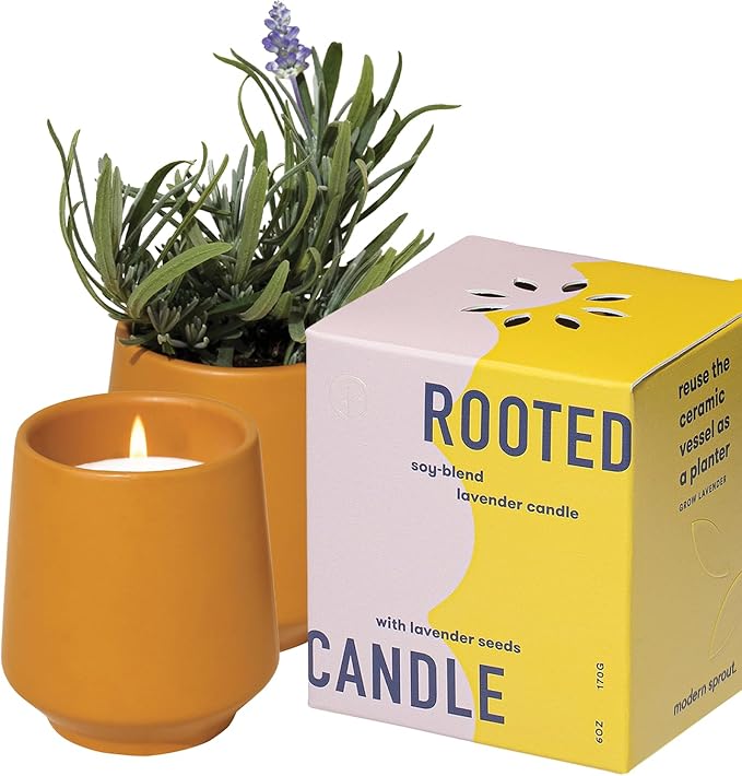 Modern Sprout - 2 in 1 Cedarwood Scented & Soy Candle with Seeds that Grows into Lavender Plant - 6 oz w/ 42 hr Burn time ...