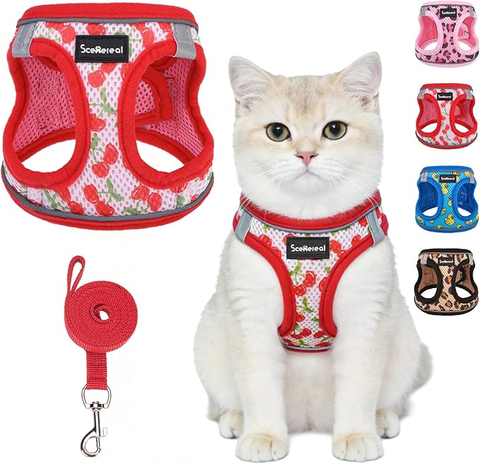 SCENEREAL Cat Harness & Leash Set Escape Proof - Adjustable Air Mesh Vest with Reflective Strips for Kittens, Puppies, Rab...