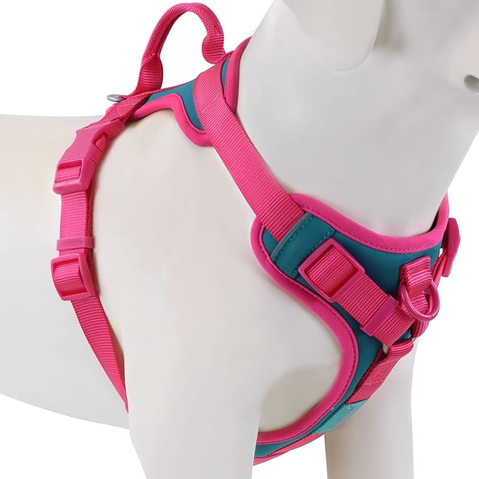 Wolfone No Pull Dog Harness Adjustable Soft Padded Pet Vest with Control Handle Adorable Daily Harness for Dogs（Viridian G...