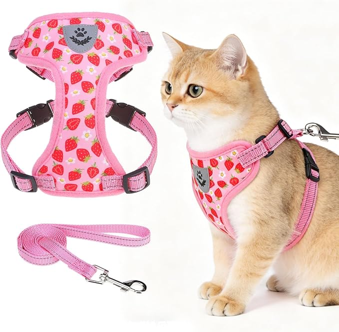 EXPAWLORER Escape Proof Cat Harness and Leash Set - Soft Breathable Vest Harness with Adjustable for Kitten Puppy Outdoor ...