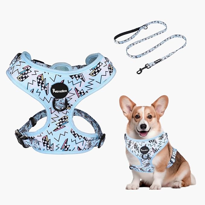 Petmolico Dog Harness and Leash Set Soft Mesh Small Dog Harnesses Vest No Pull Dog Vest Puppy Harness and Leash Set Traini...