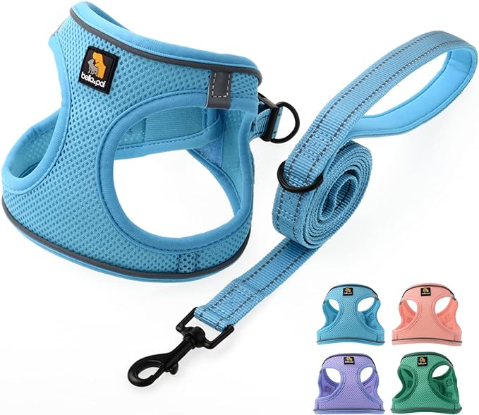 BELLA & PAL Step in Vest Harness for Small and Medium Dogs, No Pull Small Dog Harness with Leash Set, Comfortable Air Mesh...