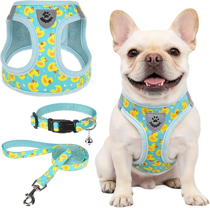 SCENEREAL Small Dog Harness and Leash Collar Set, Step in Soft Light Puppy Vest, Breathable Pet Harness for Small Sized Do...