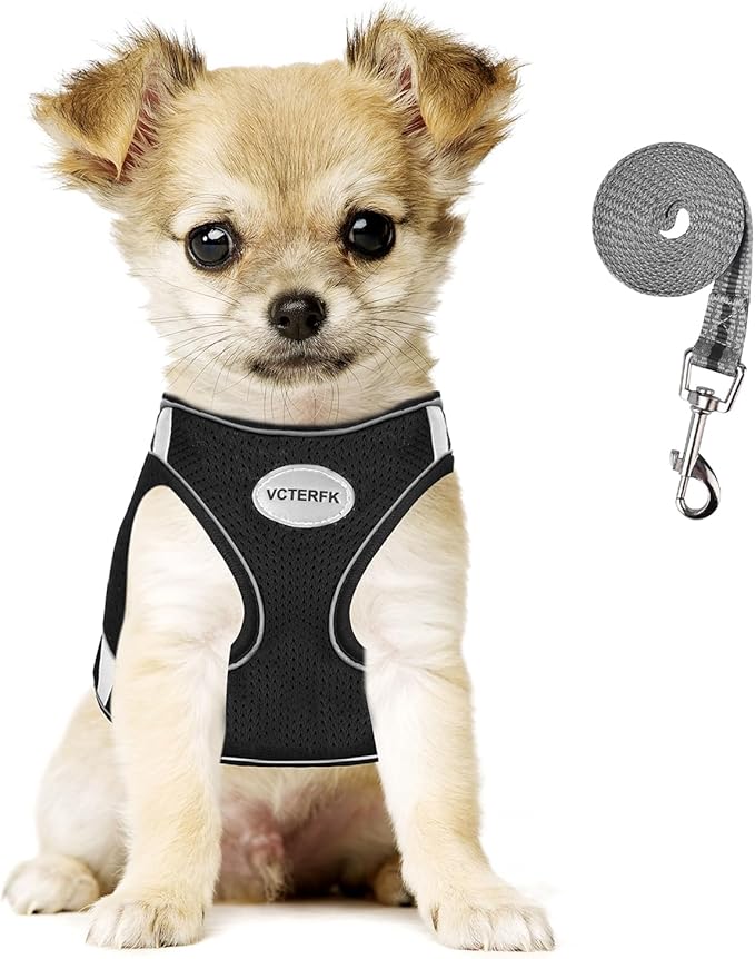 Small Dog Harness and Leash Set, Step-in Puppy Vest with Breathable Soft Padded Mesh, Walking Reflective Pet Harness for S...