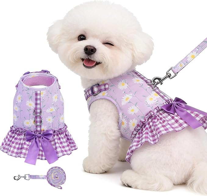 EXPAWLORER Dog Harness Small Medium Sized Dogs, Daisy Dog Dress Bowknot Harness and Leash Set, No Choke No Pull Soft Mesh ...