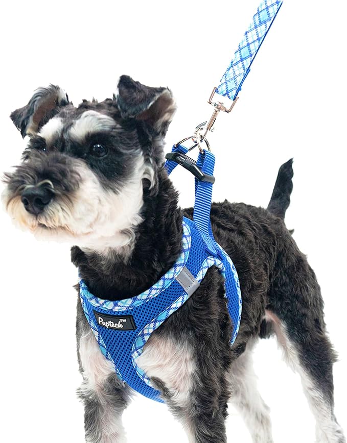PUPTECK Dog Harness and Leash Set for Small Medium Dogs No Pull Step-in Soft Mesh Puppy Cat Vest Harnesses Reflective at N...