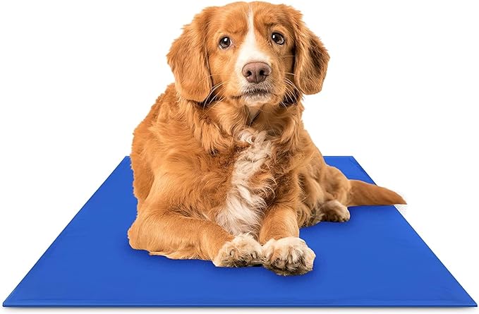 The Green Pet Shop Chillz Gel Mat, Medium - Pressure-Activated Cooling Pad for Pets 0-25 lbs - Non-Toxic, No Water or Refr...
