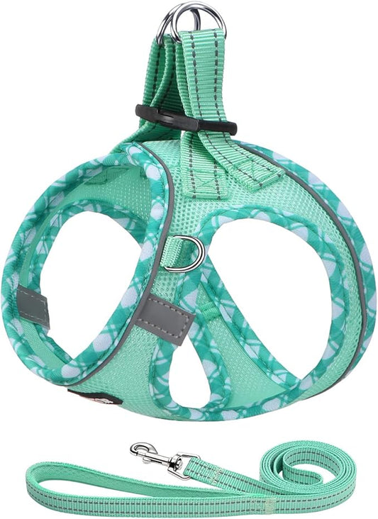 AMTOR Dog Harness with Leash Set,Upgrade No Pull Reflective Step-in Air All Weather Puppy Harness with Padded Vest for Sma...