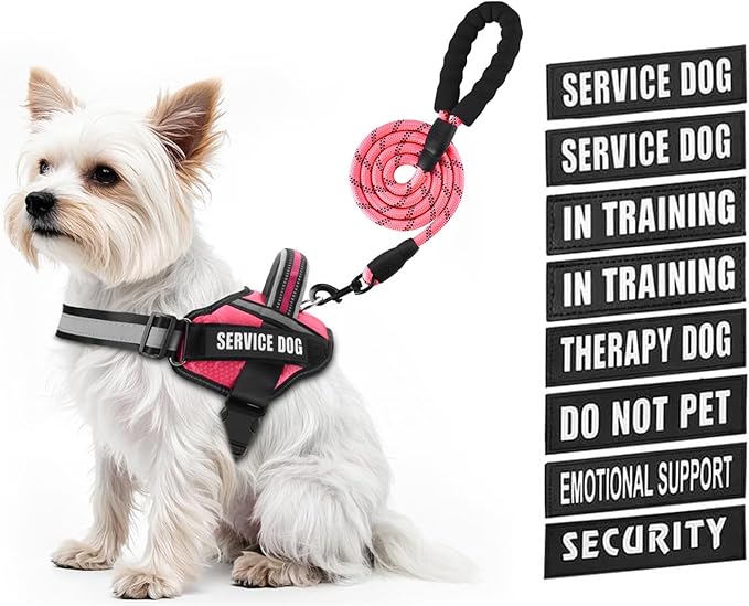 Service Dog Vest Harness and Leash Set, Animire in Training Dog Harness with 10 Dog Patches, Reflective Dog Leash with Sof...