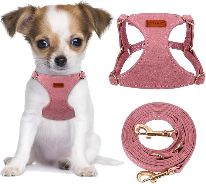 CHEDE No Pull Puppy Harness and Multifunction Dog Leash Set- 8 Colors Soft Adjustable No Choke Escape Proof Cute,Lightweig...