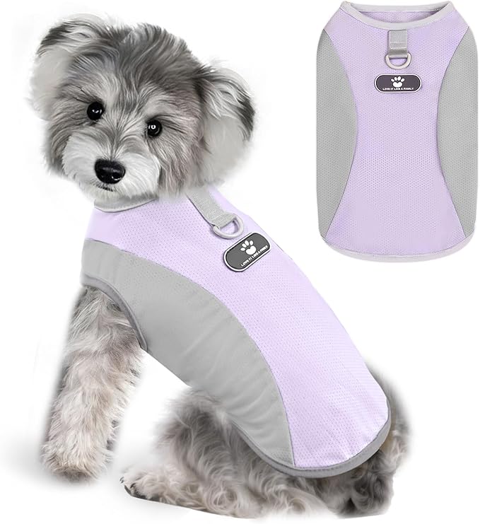 AXIIJGL Dog Cooling Vest with D-Ring Dog Tshirt Sun Protection Small Puppy Clothes for Girls Boys Stretchy Shirts for Dogs...