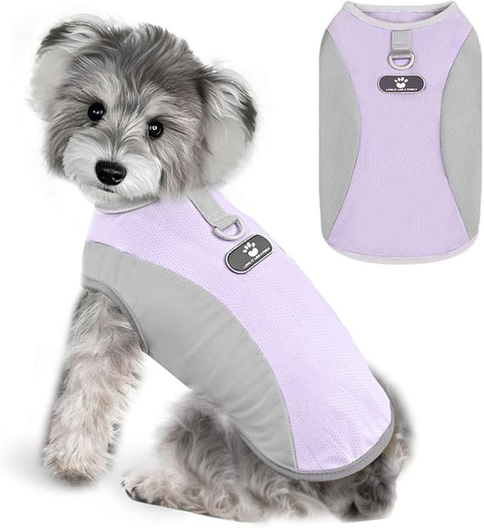 AXIIJGL Dog Cooling Vest with D-Ring Dog Tshirt Sun Protection Small Puppy Clothes for Girls Boys Stretchy Shirts for Dogs...