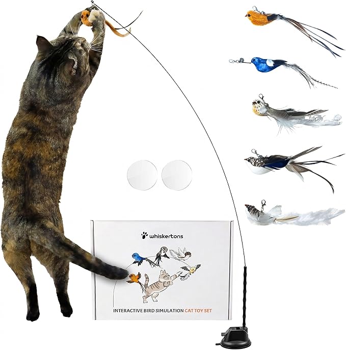 Whiskertons Interactive Bird Simulation Cat Toy Set, Interactive Cat Toys for Indoor Cats, Cat Feather Toy, Self-Holding S...