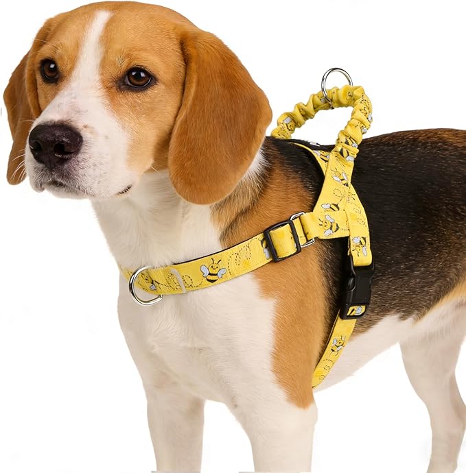 PUPTECK No Pull Dog Harness Small Sized Dog, Adjustable Reflective Pet Vest Harness with Bungee Handle, Escape Proof No Ch...