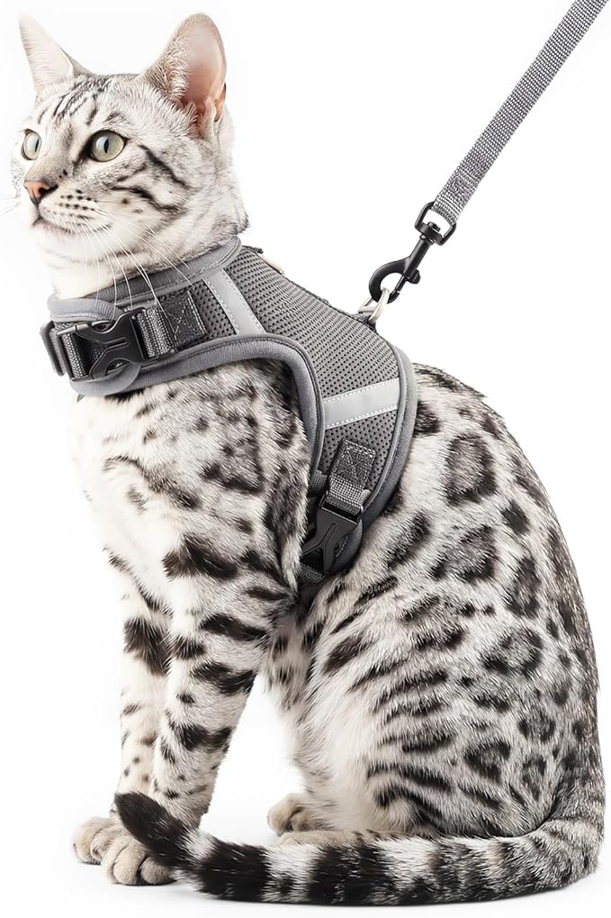 pangdi Cat Harness and Leash Escape Proof Kitten Harness Cat Leash for Walking Travel Service Cat Vest, Grey, X-Large