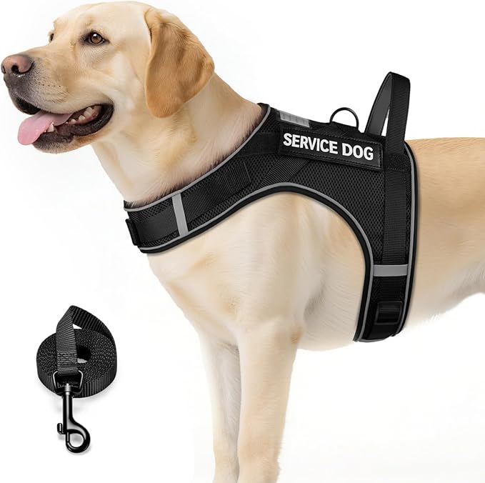 FAYOGOO Service Dog Vest for Large Dogs - Air Mesh Breathble Emotional Support Animal Vest with DIY Removable Patches - Do...