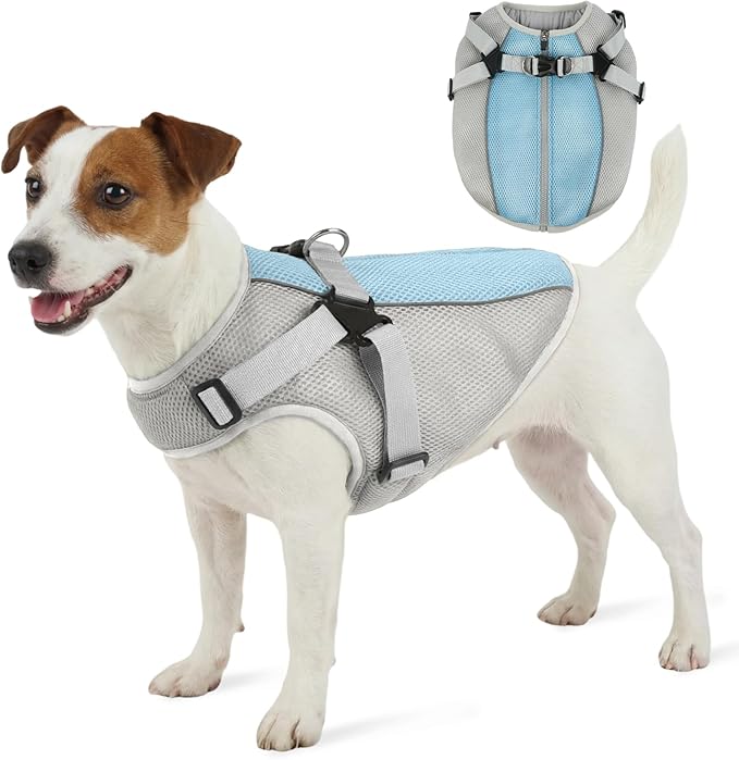 FUAMEY Dog Cooling Vest for Small Dogs, Doggy Evaporative Cooling Jacket in Hot Weather, Puppy Breathable Mesh Cooler Vest...