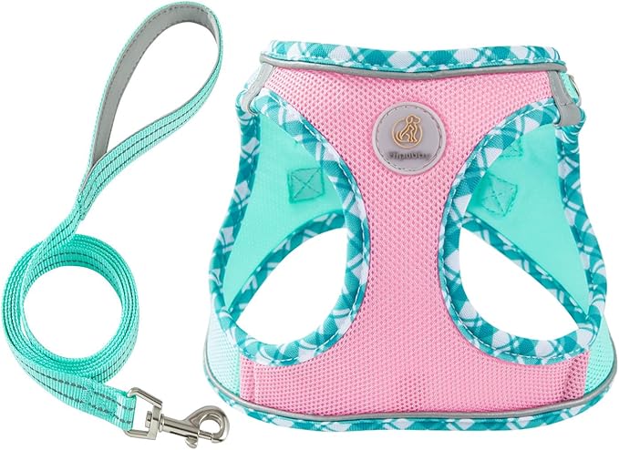 Hipubby Dog Harness Small Sized and Leash Set, No Pull Soft Mesh Puppy Vest, Reflective Breathable Lightweight Pet Harnes...
