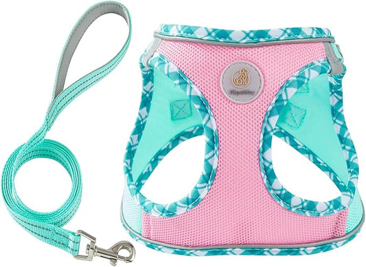 Hipubby Dog Harness Small Sized and Leash Set, No Pull Soft Mesh Puppy Vest, Reflective Breathable Lightweight Pet Harnes...