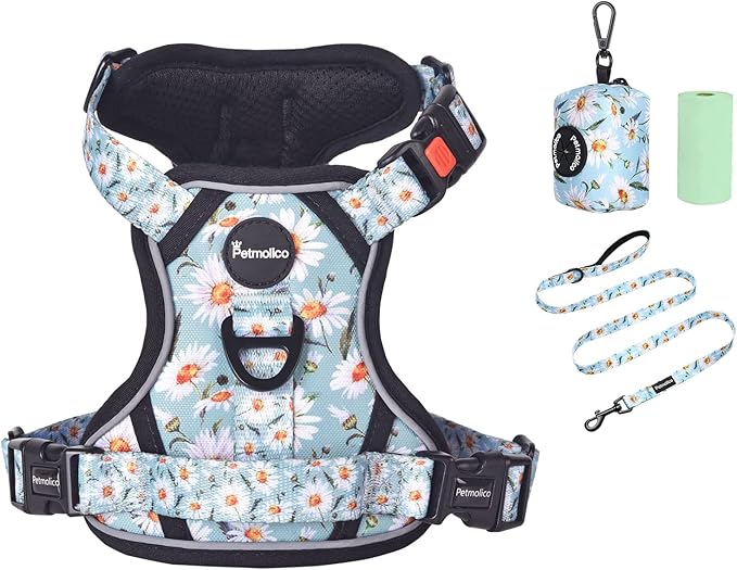 Petmolico No Pull Dog Harness Set with Leash Attachment Easy Control Handle Reflective Harness Vest Small Breed, Puppy Ves...