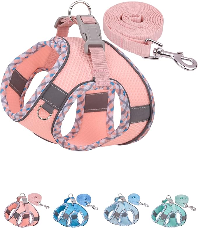 Petank Dog Harness for Small Medium Dogs No Pull, Puppy Harness and Leash Set, Step in Dog Harness for Walking, Running, T...