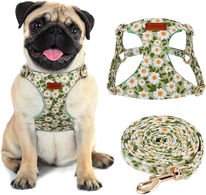 CHEDE No Pull Floral Pattern Dog Harness- Lightweight and Soft Harness, Adjustable Small Dog Harness and Leash Set, with D...